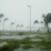 key west, florida, hurricane dennis-86025.jpg