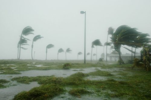 key west, florida, hurricane dennis-86025.jpg